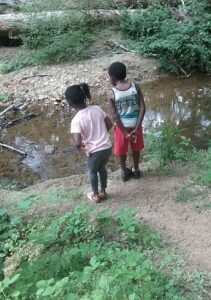 We Live on Planet Mother Image